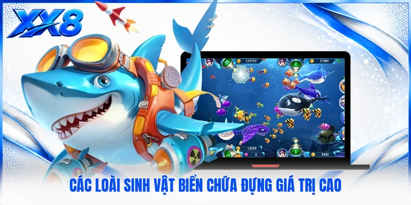 Các loài sinh vật biển chứa đựng giá trị cao